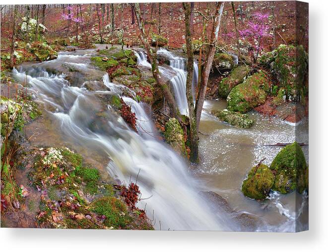 Waterfall Canvas Print featuring the photograph Coward's Hollow Shut-ins I by Robert Charity