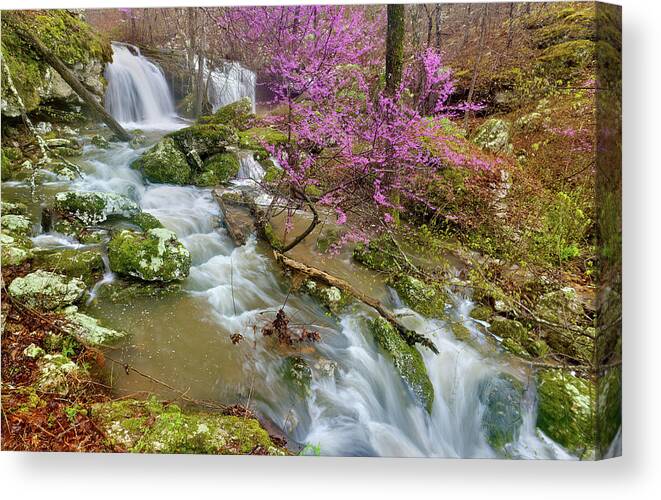 Spring Canvas Print featuring the photograph Coward's Hollow Shut-ins II by Robert Charity