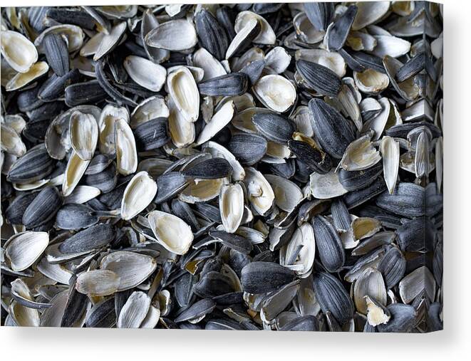 Large Group Of Objects Canvas Print featuring the photograph Cracked Sunflower seeds by Mikroman6