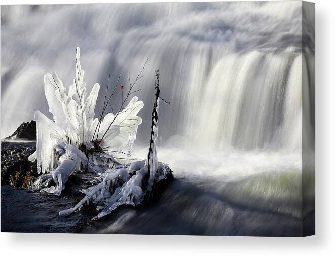 Ice Canvas Print featuring the photograph Crystal Coating by John Meader