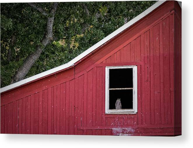  Canvas Print featuring the photograph Ct9a0121 by John T Humphrey