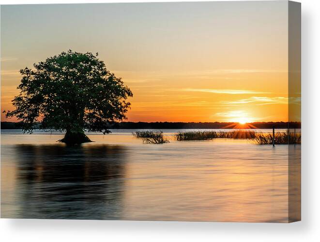 Todd Tucker Canvas Print featuring the digital art Cypress Sunset by Todd Tucker