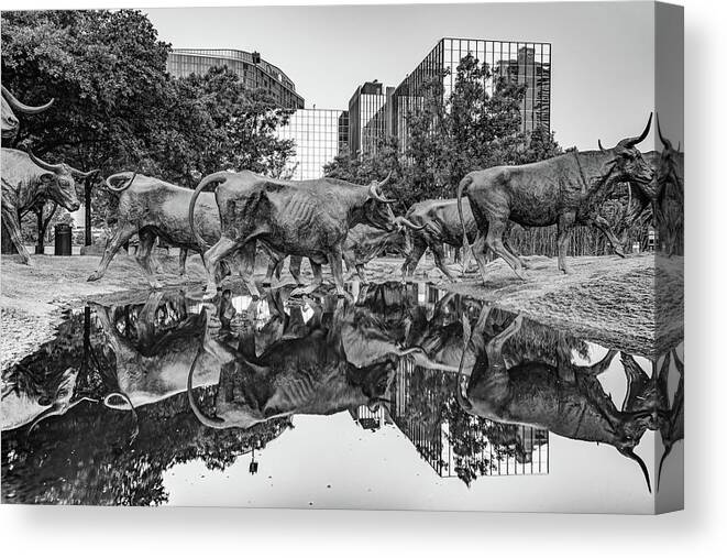 Dallas Skyline Canvas Print featuring the photograph Dallas Texas Longhorn Cattle Drive Reflections - Pioneer Plaza Monochrome by Gregory Ballos