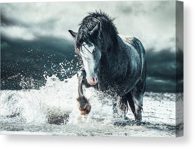 Photographs Canvas Print featuring the photograph Dance in the storm - Horse Art by Lisa Saint