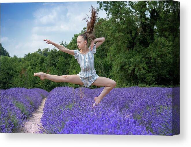 Lavender Canvas Print featuring the photograph Dance on the lavender by Andrew Lalchan