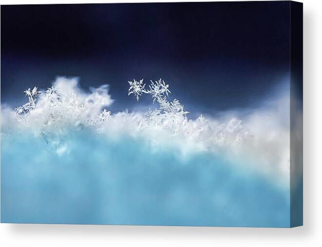  Snowflakes Canvas Print featuring the photograph Dancing Snowflakes by Naomi Maya