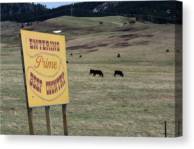 Sign Canvas Print featuring the photograph Declaration Sign by Kae Cheatham