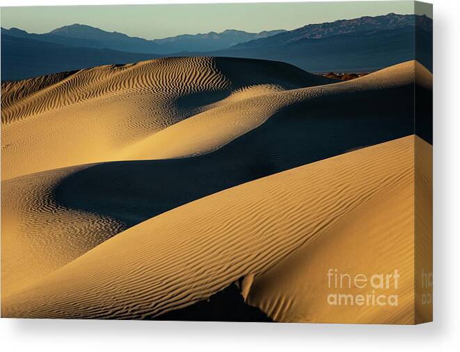 Death Valley Canvas Print featuring the photograph Desert Dunes by Erin Marie Davis