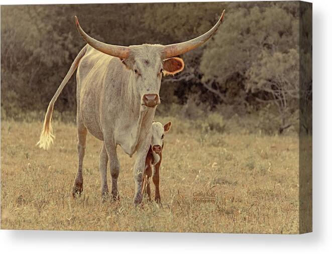 Texas Longhorns Wall Art Canvas Print featuring the photograph Desert Moon Texas longhorn cow by Cathy Valle