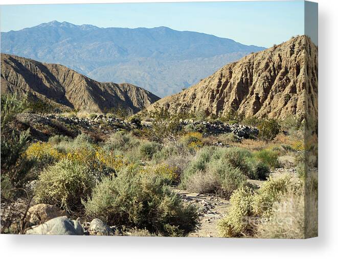 Desert Oasis Canvas Print featuring the photograph Desert Scene 6 Coachella Valley Wildlife Preserve by Colleen Cornelius