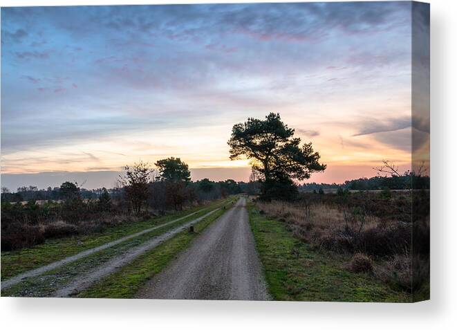 Grass Canvas Print featuring the photograph Dirt Road Bend by William Mevissen