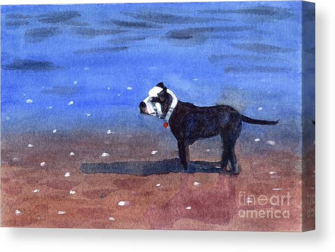 Dog Canvas Print featuring the painting Dog on a Beach by Vicki B Littell