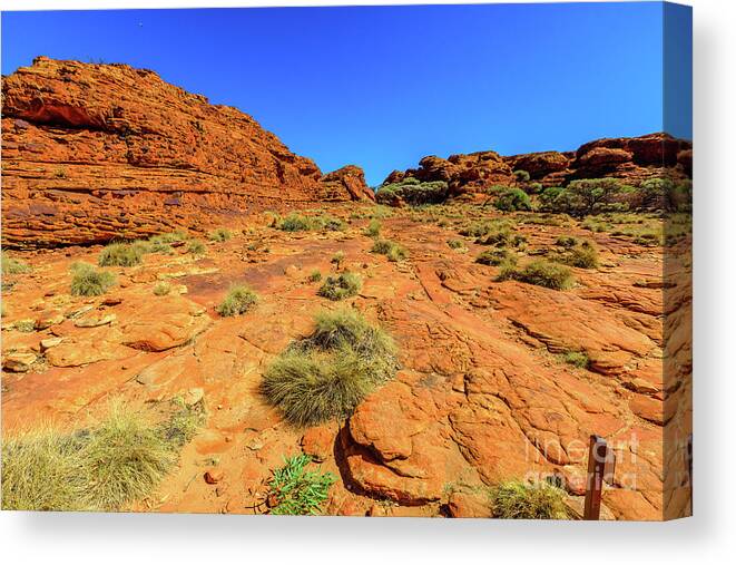 Australia Canvas Print featuring the photograph Domes in Kings Canyon by Benny Marty