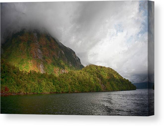 Landscape Canvas Print featuring the photograph Doubtful Sound by Jay Heifetz