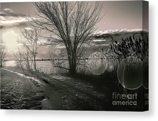 Lake Canvas Print featuring the photograph Down The Path To A Sunrise by Diana Mary Sharpton