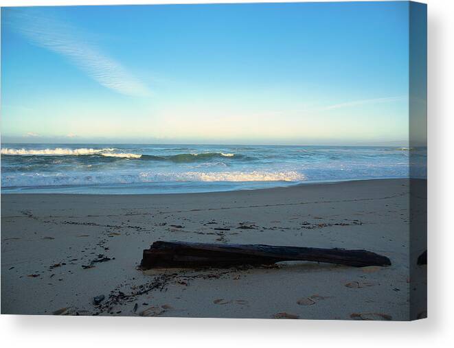 Beach Canvas Print featuring the photograph Driftwood on the Beach at Sunrise by Matthew DeGrushe