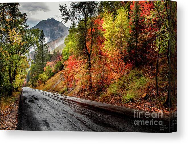 Drive Into Fall Canvas Print featuring the photograph Drive into Fall by David Millenheft