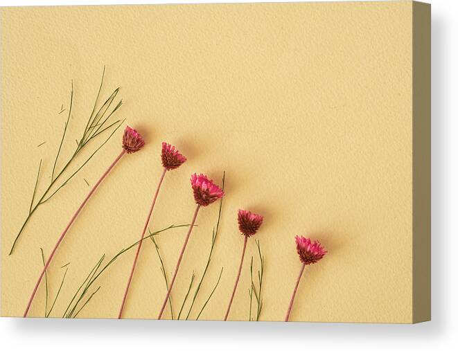 Dry Flowers Canvas Print featuring the photograph Dry purple floral bouquet on yellow background. by Michalakis Ppalis