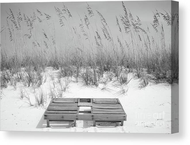 Destin Canvas Print featuring the photograph Dual Wooden Tanning Beds on White Sand Dune Destin Florida Black and White Digital Art by Shawn O'Brien