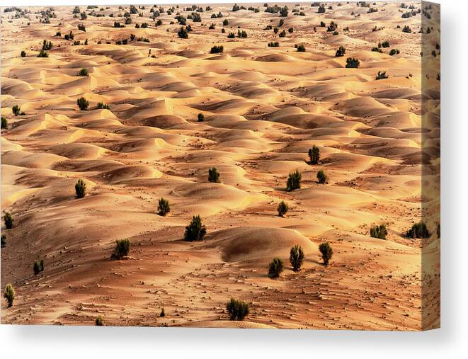 Uae Canvas Print featuring the photograph Dubai UAE - Desert Dunes by Philippe HUGONNARD