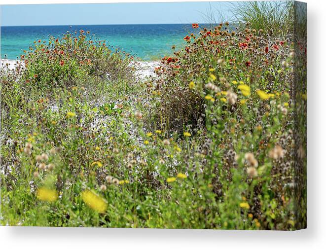 Sowal Canvas Print featuring the photograph Dunetop Beach Wildflowers by Kurt Lischka