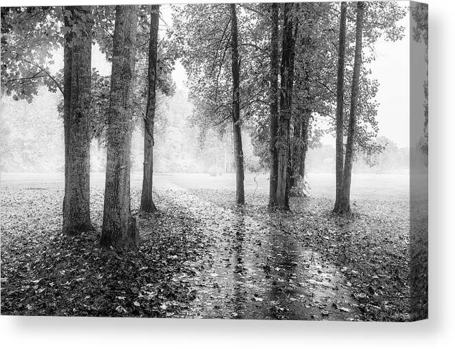 Carolina Canvas Print featuring the photograph Early Morning Walk Black and White by Debra and Dave Vanderlaan