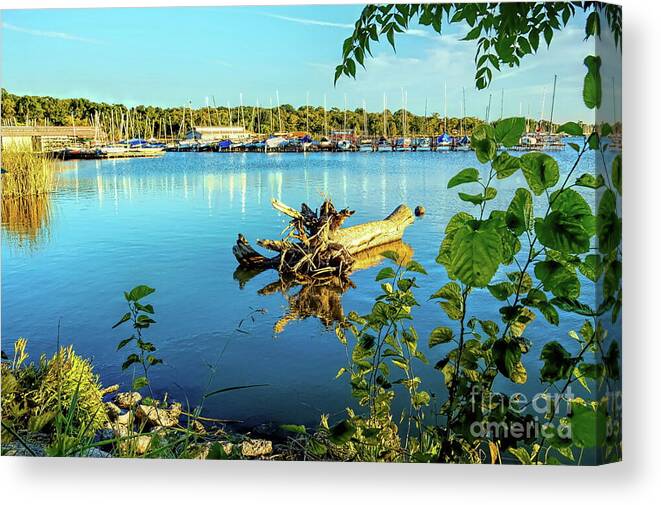 Drift Canvas Print featuring the photograph Early Sunset Reflections by Diana Mary Sharpton
