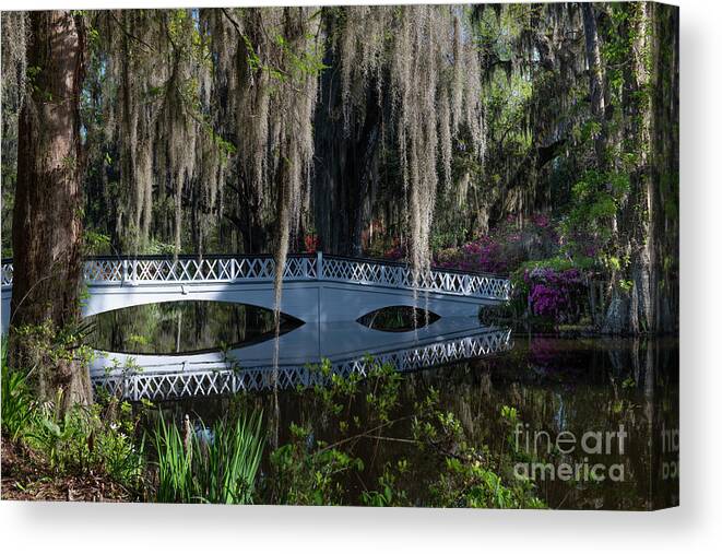 Magnolia Plantation Canvas Print featuring the photograph Echoes of the Past - Magnolia Plantation Long White Bridge by Dale Powell