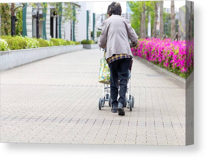 Retirement Canvas Print featuring the photograph Elderly person with walking auxiliary instrument. by SetsukoN