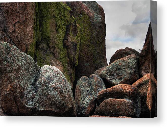 Color Canvas Print featuring the photograph Emerging Color by Wayne King