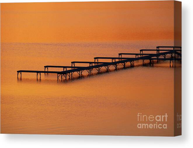 Empty Canvas Print featuring the photograph Empty by Rachel Cohen