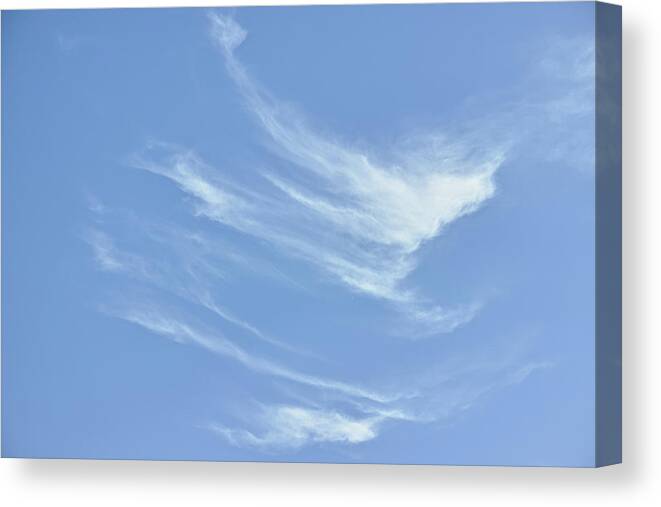 Cloud Canvas Print featuring the photograph Evanescent silhouette by Karine GADRE
