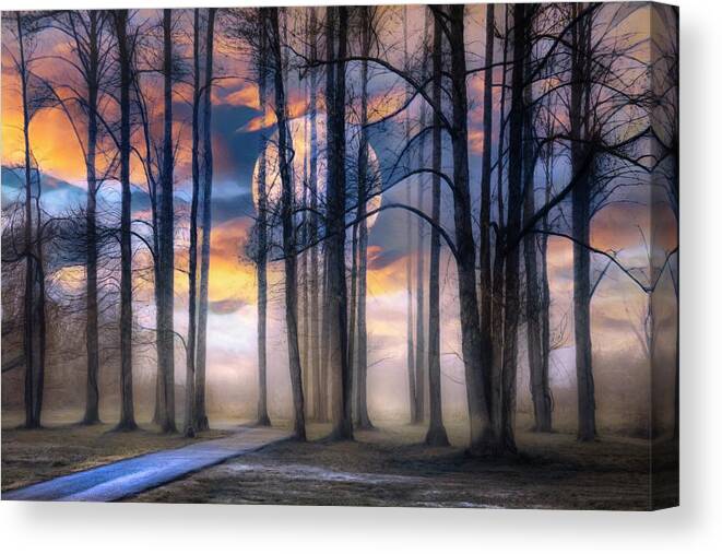Trail Canvas Print featuring the photograph Evening Mystery by Debra and Dave Vanderlaan