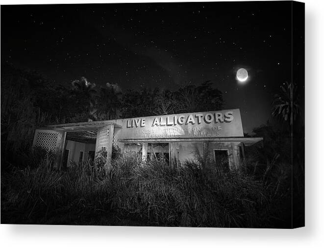 Everglades Gatorland Canvas Print featuring the photograph Everglades Gatorland Ruins by Mark Andrew Thomas