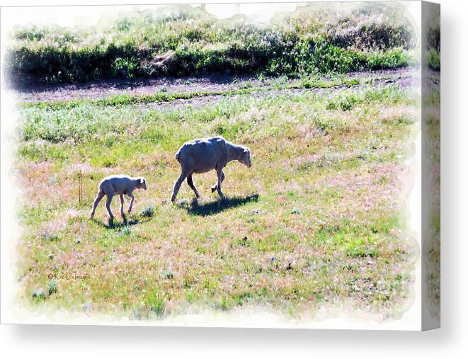 Sheep Canvas Print featuring the mixed media Ewe and Lamb by Kae Cheatham