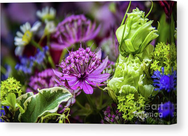 Flower Canvas Print featuring the photograph Exquisite magic of blossoms #1 by Lyl Dil Creations