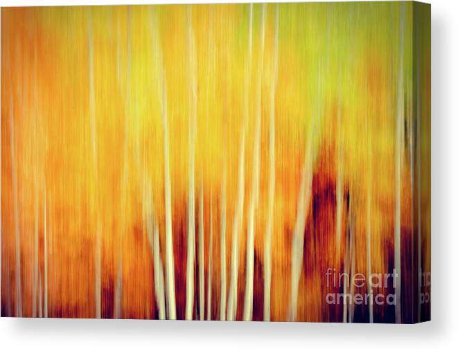 Fall Canvas Print featuring the photograph Fall Abstract by Lori Dobbs