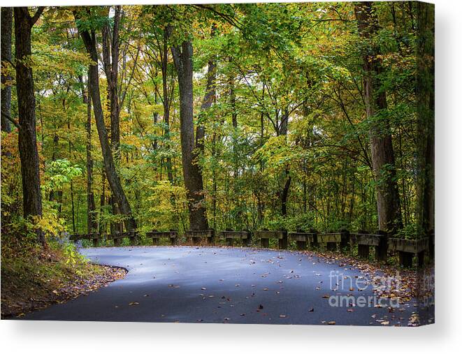 Indiana Canvas Print featuring the photograph Fall Color Country Road - Clifty Park - Indiana by Gary Whitton