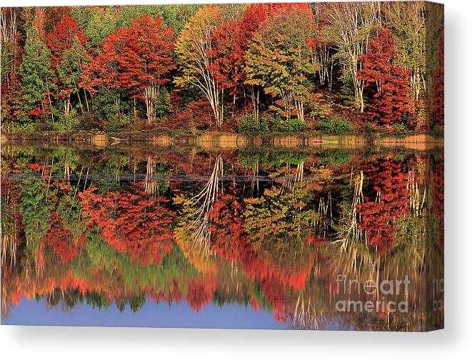 Dave Welling Canvas Print featuring the photograph Fall Color Reflected in Thornton Lake Michigan by Dave Welling