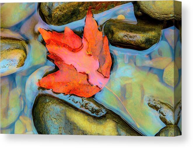 Carolina Canvas Print featuring the photograph Fall Float Painting by Debra and Dave Vanderlaan