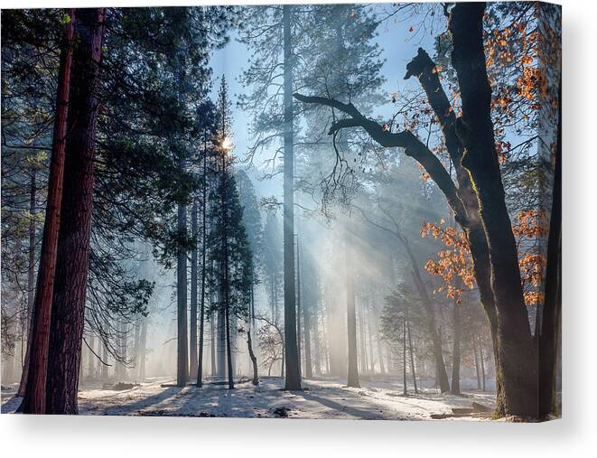 Usa Canvas Print featuring the photograph Fall Atmospherics in Yosemite Valley by Doug Holck