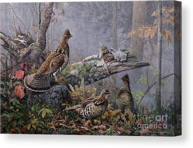 Scott Zoellick Canvas Print featuring the painting Fall Gathering Roughed Grouse by Scott Zoellick