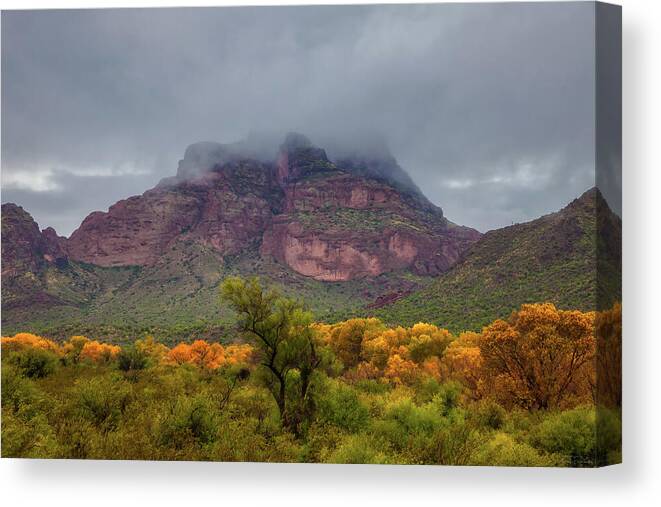 Art Canvas Print featuring the photograph Fall in December by Rick Furmanek