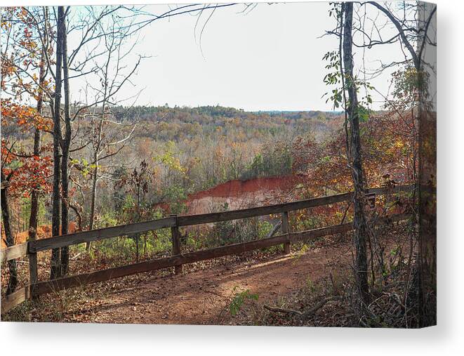 Providence Canyon State Park Canvas Print featuring the photograph Fencing The Canyon by Ed Williams