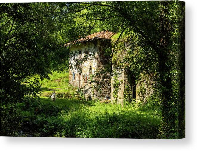 Old House Canvas Print featuring the photograph Ferriera de Olazarra - Artzubi forest by Micah Offman