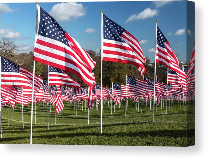 Flag Canvas Print featuring the photograph Field of Honor by Patty Colabuono