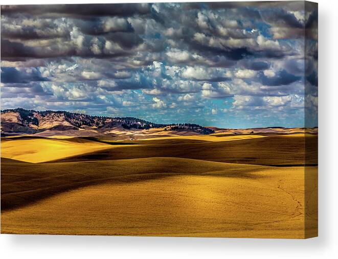 Field Shadows Canvas Print featuring the photograph Field Shadows by David Patterson