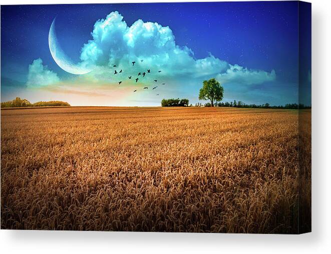 Moon Canvas Print featuring the photograph Fields in Early Evening Nightfall by Debra and Dave Vanderlaan