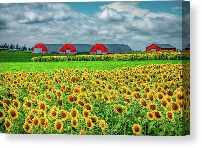 Pei Canvas Print featuring the photograph Fields of Happiness by Marcy Wielfaert