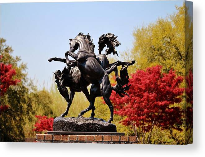 Sculpture Canvas Print featuring the photograph Fillies Playing by Cynthia Guinn